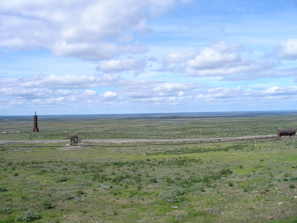 Vega MS Norilsk calibration mast summer tundra
